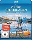 GP MEDIAVISION Zwerger-Schoner OG