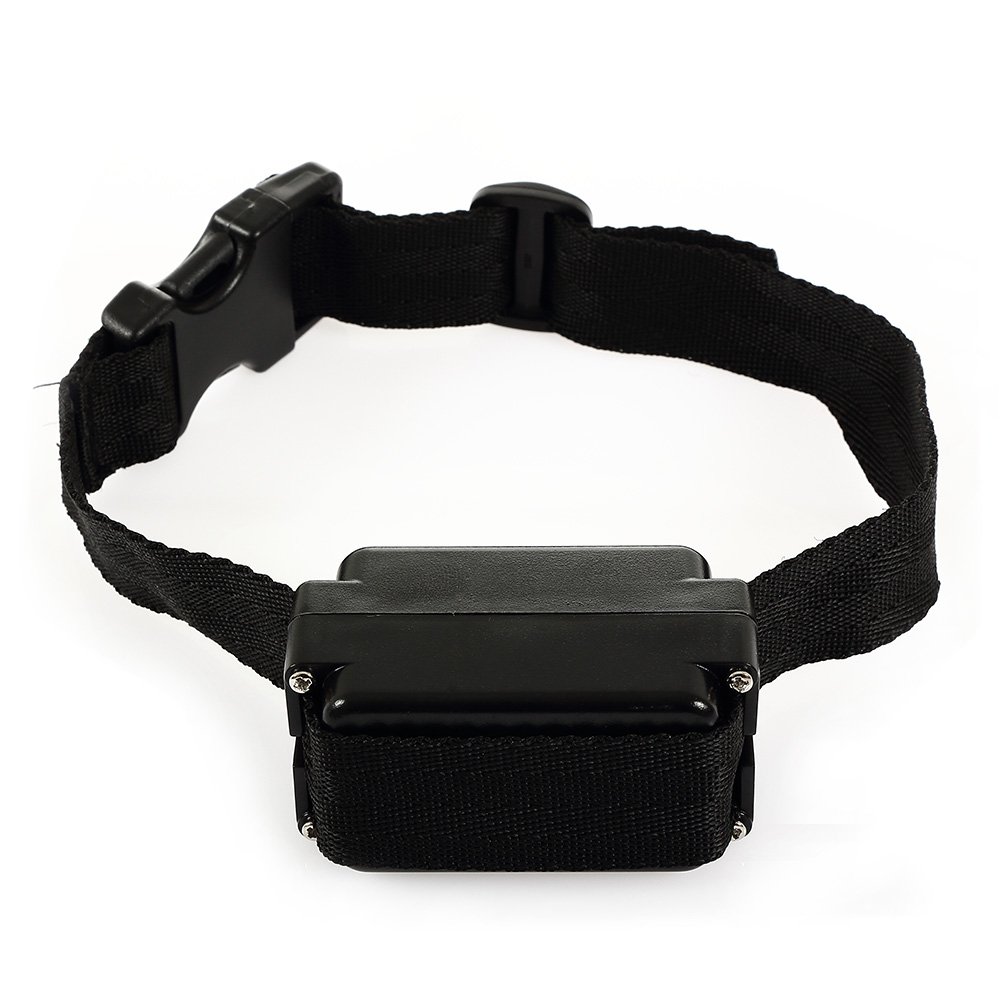 Cloture Electrique pour Chien Collier Anti Fugue avec 2 colliers