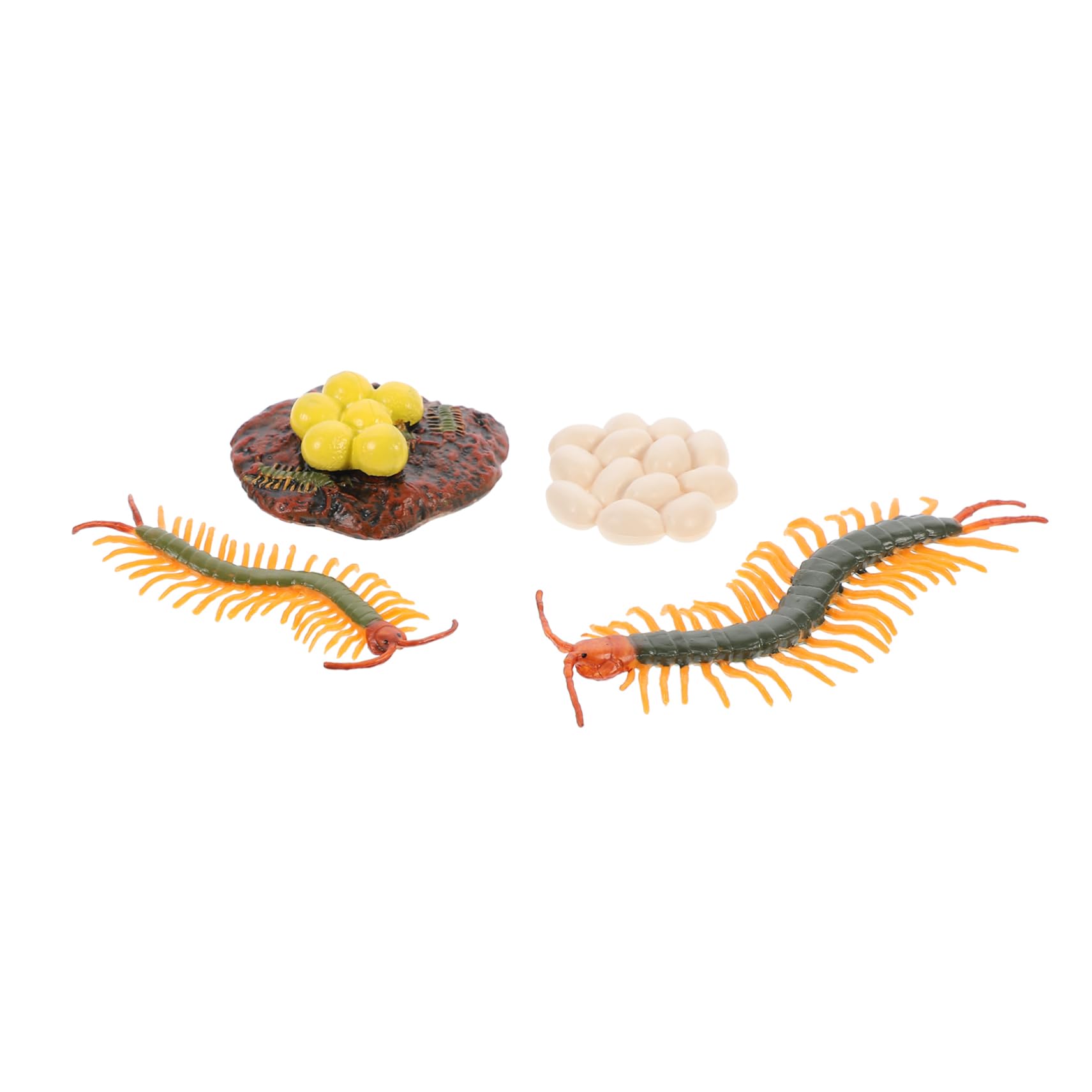DECHOUS Life Cycle Learning: Centipede Model Ornaments Set for Early Education
