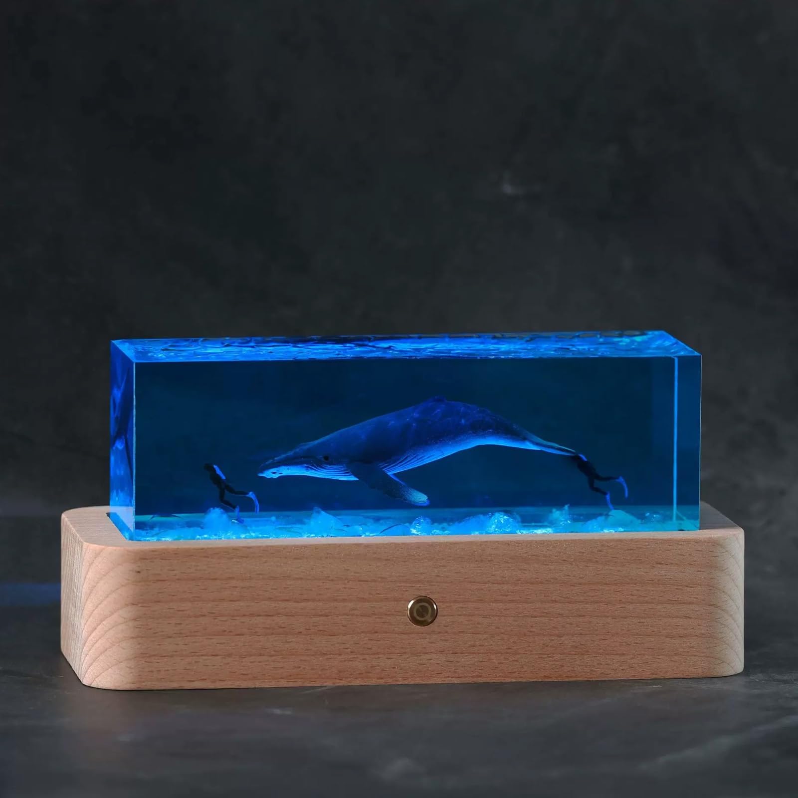 ATCKCALB Handmade Ocean Resin Lamp with Wooden Base, 3D Deep Sea Whale Shark Night Light for Home Decor, Unique Gifts for Scuba Divers & Marine Lovers(L 17.5x8.5x3.5cm/6.9x3.3x1.4in)
