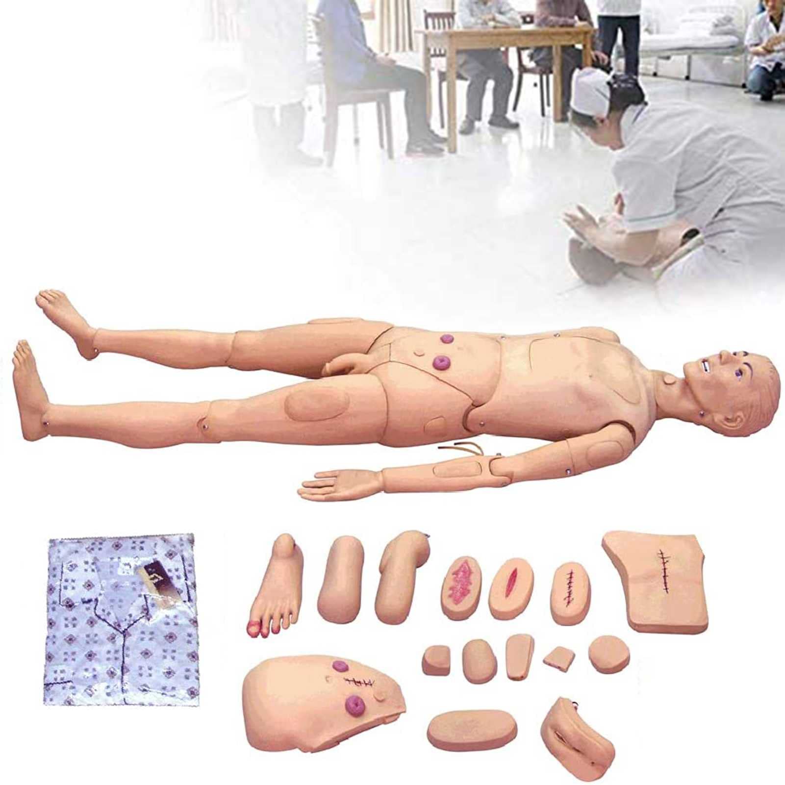 Manichino anatomico Modello Umano, Grandezza Naturale Maschio e Femmina manichino Infermieristico manichino Umano Medico per Infermieristica Formazione e Istruzione Materiale didattico