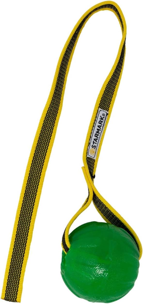 特製 安来銅 青紙一号 植木園芸鋏 最高級 安来銅 青紙一号 植木鋏