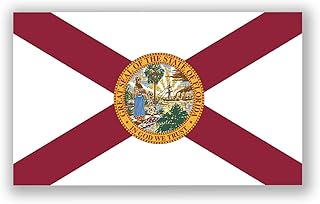 Florida Flag FL Vinyl Decal Sticker The Sunshine State Car Window Bumper 2-Pack 5-Inches by 3-Inches Premium Quality UV-Resistant Laminate PDS315