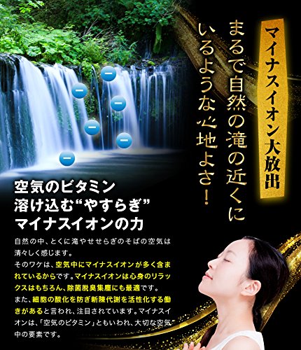 Amazon.co.jp: 滝風（たき）イオンメディック TAKI ION MEDIC [並行