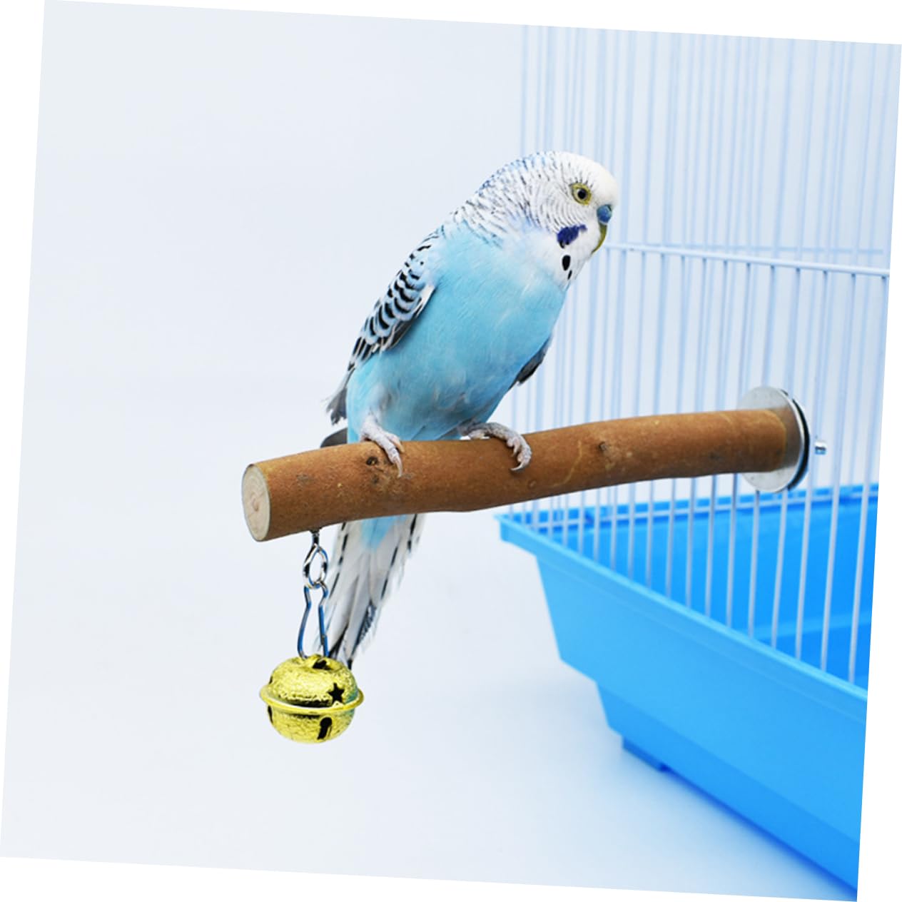 Amazon | BUGUUYO 鳥用オウム止まり木スタンド 天然木製 ブラウン ベル