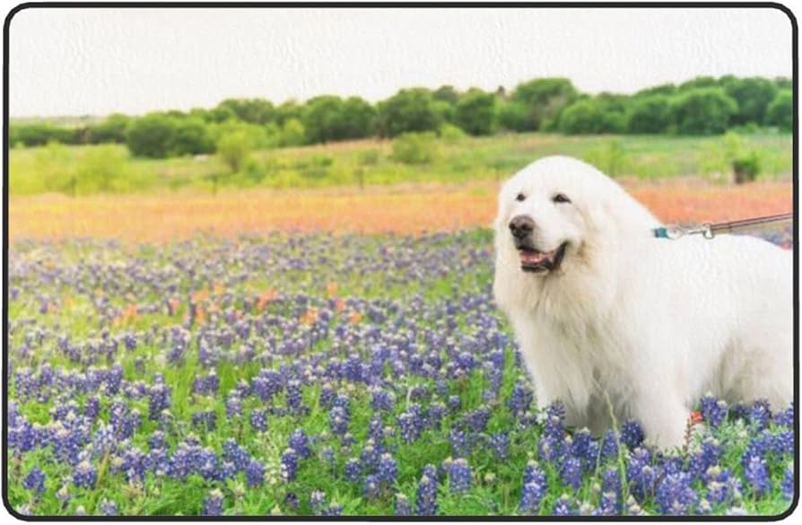 Amazon | グレート・ピレニーズ 花畑 ラグ カーペット 滑り止め付 絨毯 Amazon | グレート・ピレニーズ 花畑 ラグ カーペット 滑り止め付 絨毯