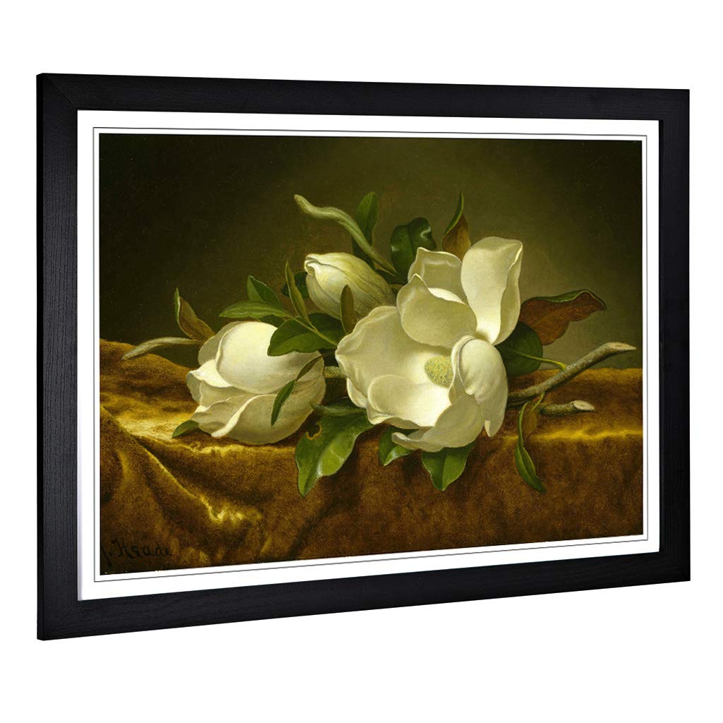 Big Box Art Framed Print of Martin Johnson Heade Magnolias Design | Wall Art Picture | Home Decor for Kitchen, Living, Dining Room, Bedroom, Hallway, Office, Black, A2 / 24.5x18 Inch / 62x45cm