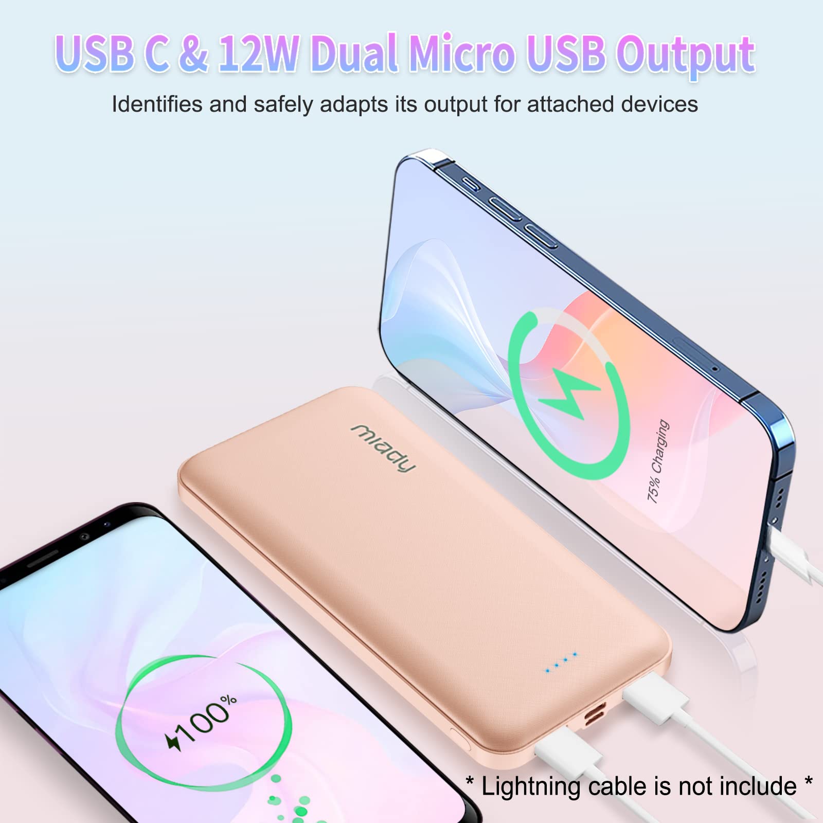 2 Pack Miady Power Bank 10000mAh Dual USB - Dettaglio