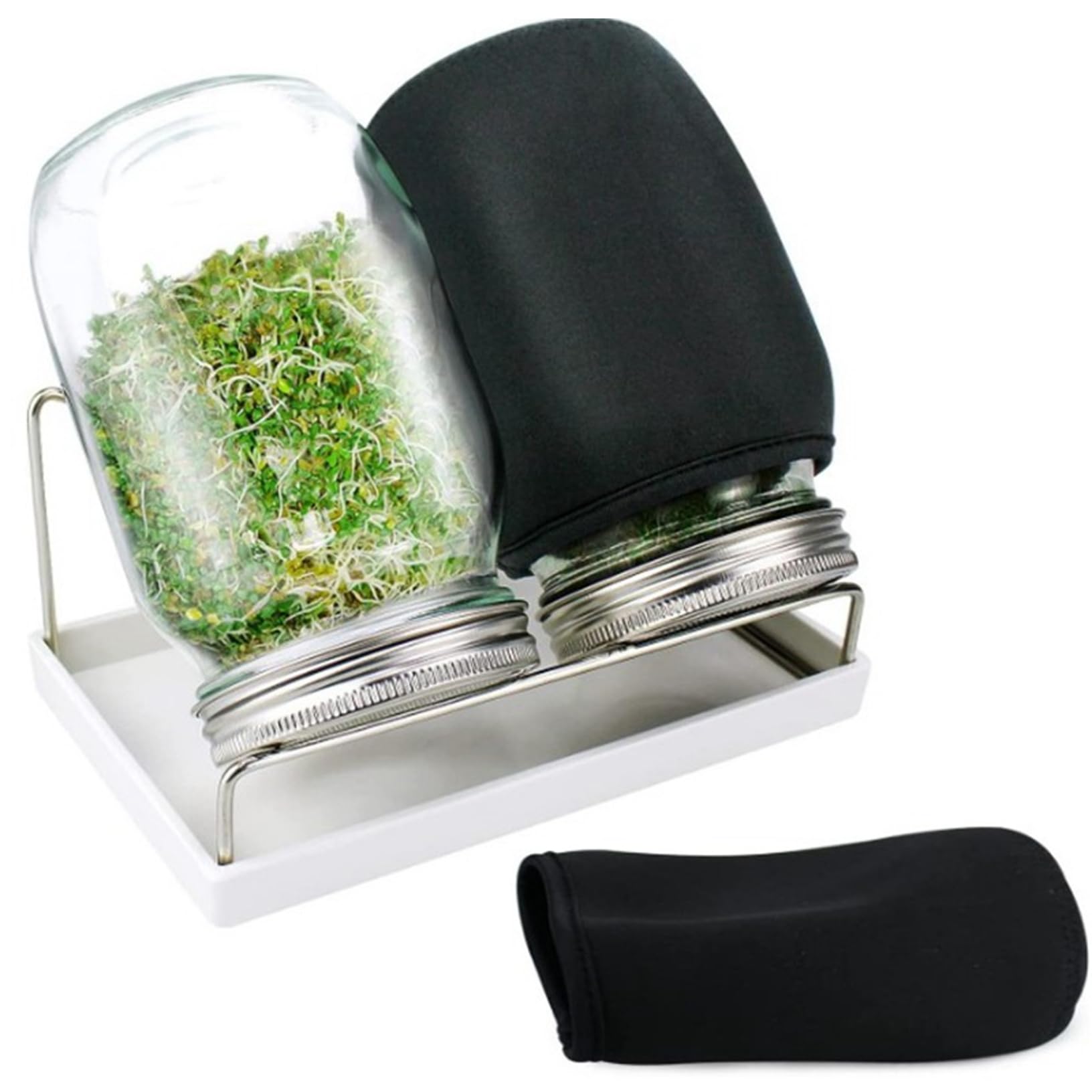 Awnsimfreien Assorted Color Sprouts, Bean Sprouts Grow Kit Air Circulation And Drainage Multipurpose Growing Kit With 2 Bottles For Beans Alfalfa Seeds, Modern Sprout