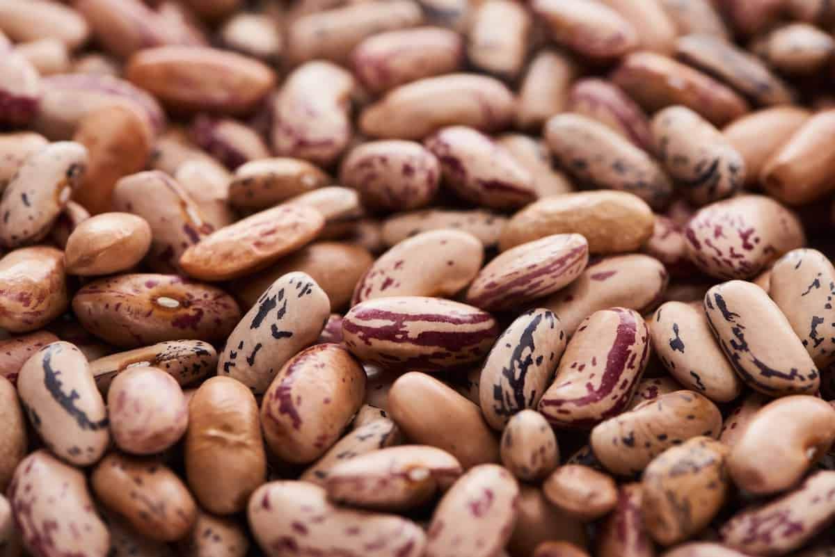 Heartland Great America Pinto Beans, Premium Quality, Made in USA, Home Grown Triple Cleaned, 50 lbs