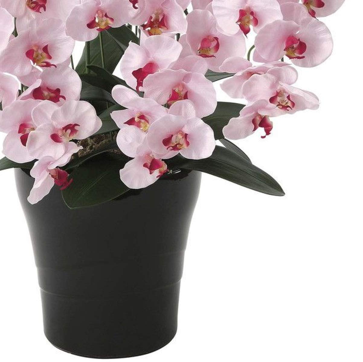 光触媒　人工観葉植物　フェイクグリーン プレミアム胡蝶蘭W/AB 光触媒 人工観葉植物 フェイクグリーン プレミアム胡蝶蘭5本立w/ab