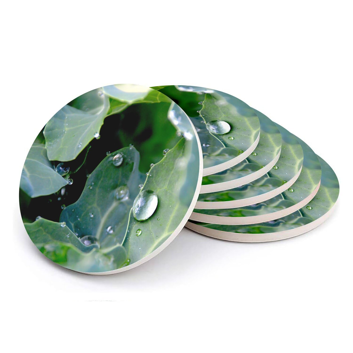 Sous verre ronds en céramique support verre design feuille chou 6pcs