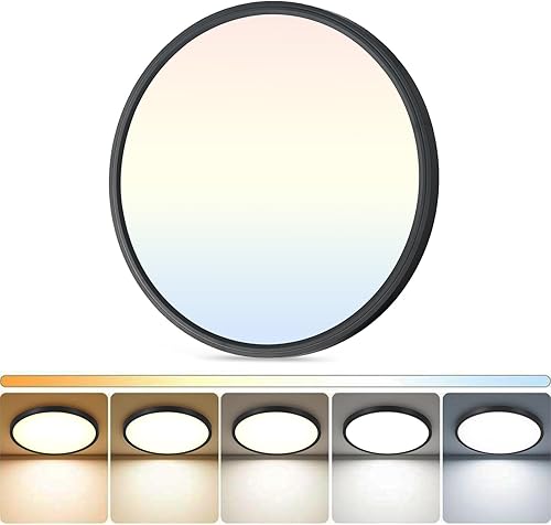 DLLT - Lámpara de techo LED empotrada 12 pulgadas, súper delgada, regulable y 5CCT (2700-6000 K), accesorios de iluminación de techo para cocina, 24