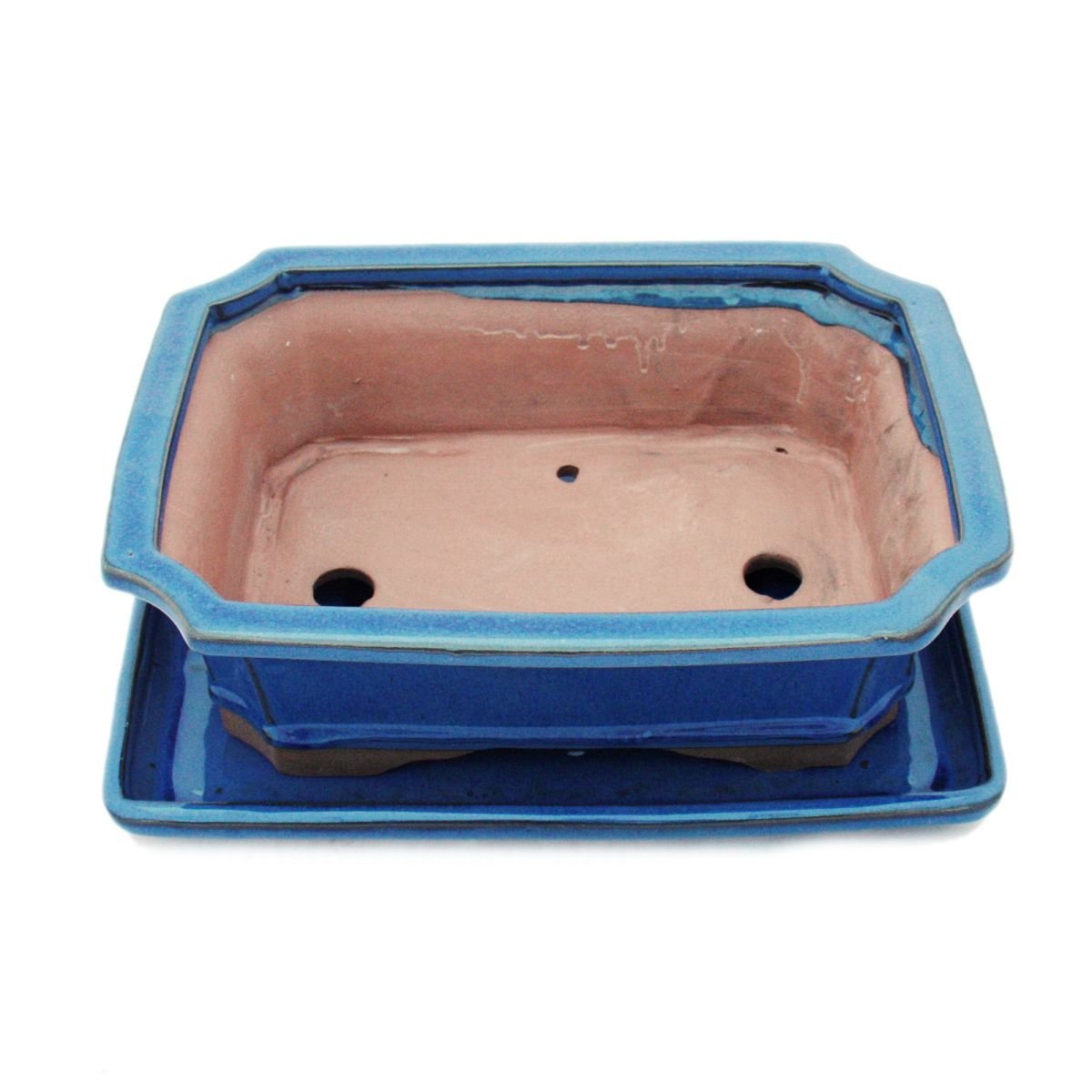 exotenherz - Bol à bonsaï avec soucoupe taille 4 - Bleu - carré - Modèle G4 - L 26 cm - l 20 cm - H 8 cm