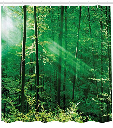 ABAKUHAUS Forest Shower Curtain, Sun Rays Bursting into the Forest Trees Foliage Misty Morning Serenity Picture - Image 2
