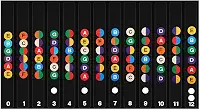 Adesivos para Marcação de Notas Musicais, Escala do Braço para Guitarra e Violão, Preto