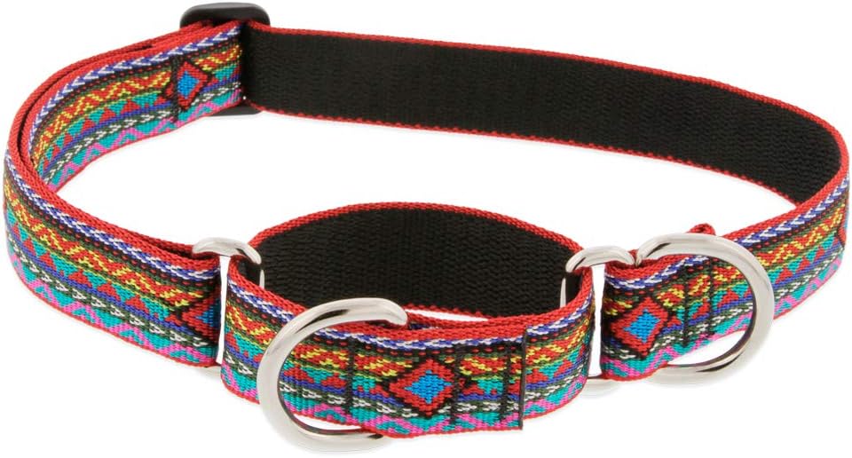 Lupine Martingale Dog Collar 1" wide Petunias Adjusts from