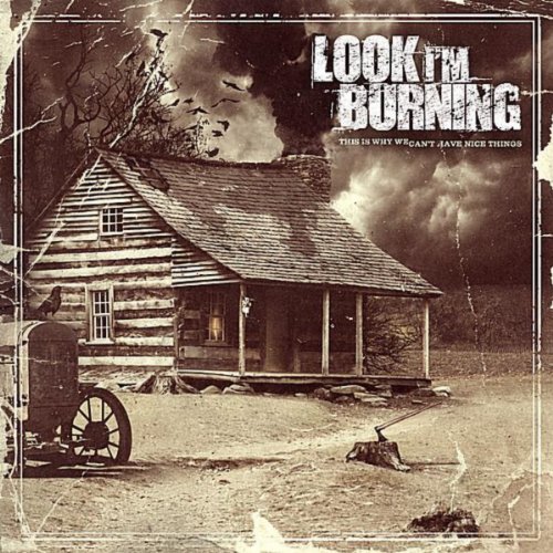 Amazon.co.jp This Is Why We Can't Have Nice Things Look I'm Burning