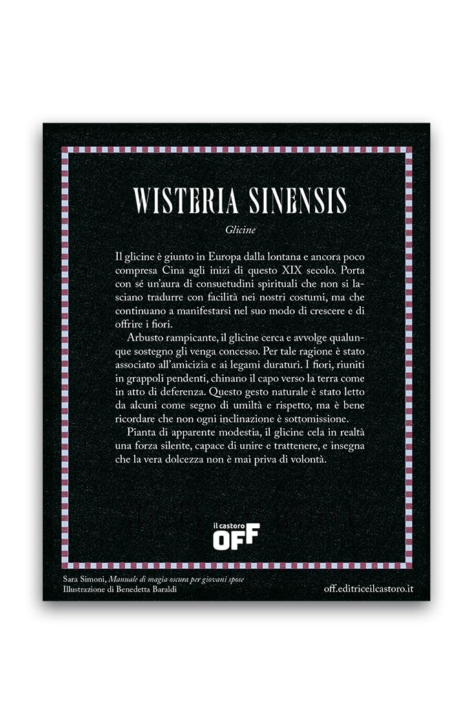 Manuale di magia oscura per giovani spose. Con gadget