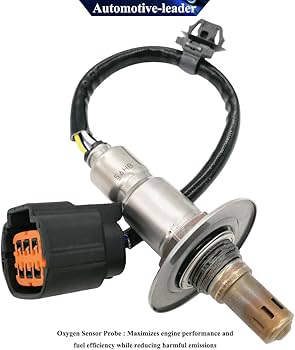 61KjbHpY1BL._AC_UF350,