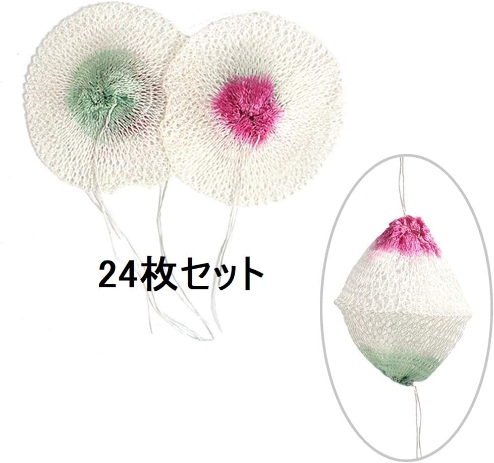  peak ガスランタン2個とマントル Amazon.co.jp: 限定1個 代用品12枚セット Snow Peak