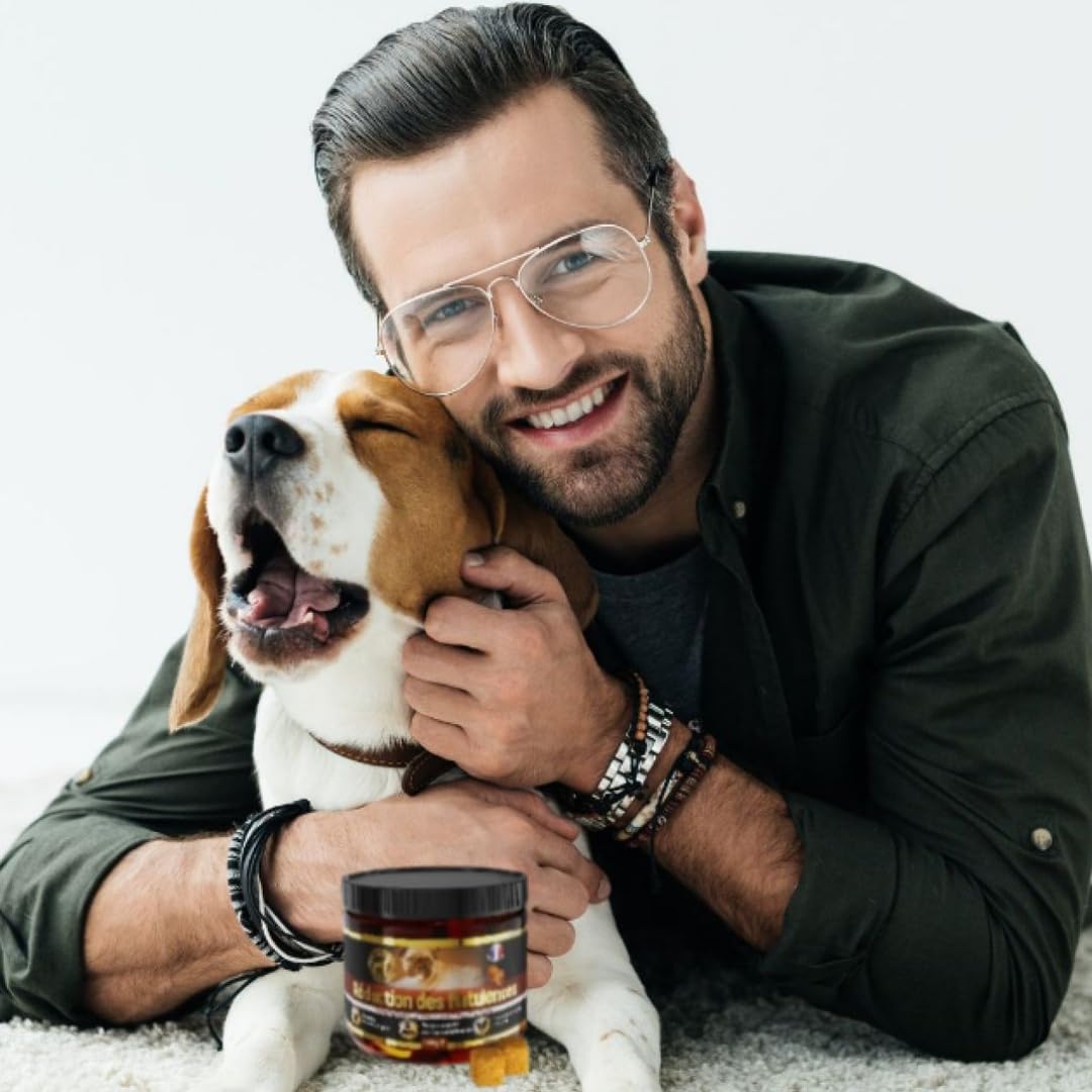 Traitement Anti Flatulence Chien - complément Alimentaire Chien flatulences - 60 croquettes Chien Anti Flatulence - Goût Poulet (Francais)