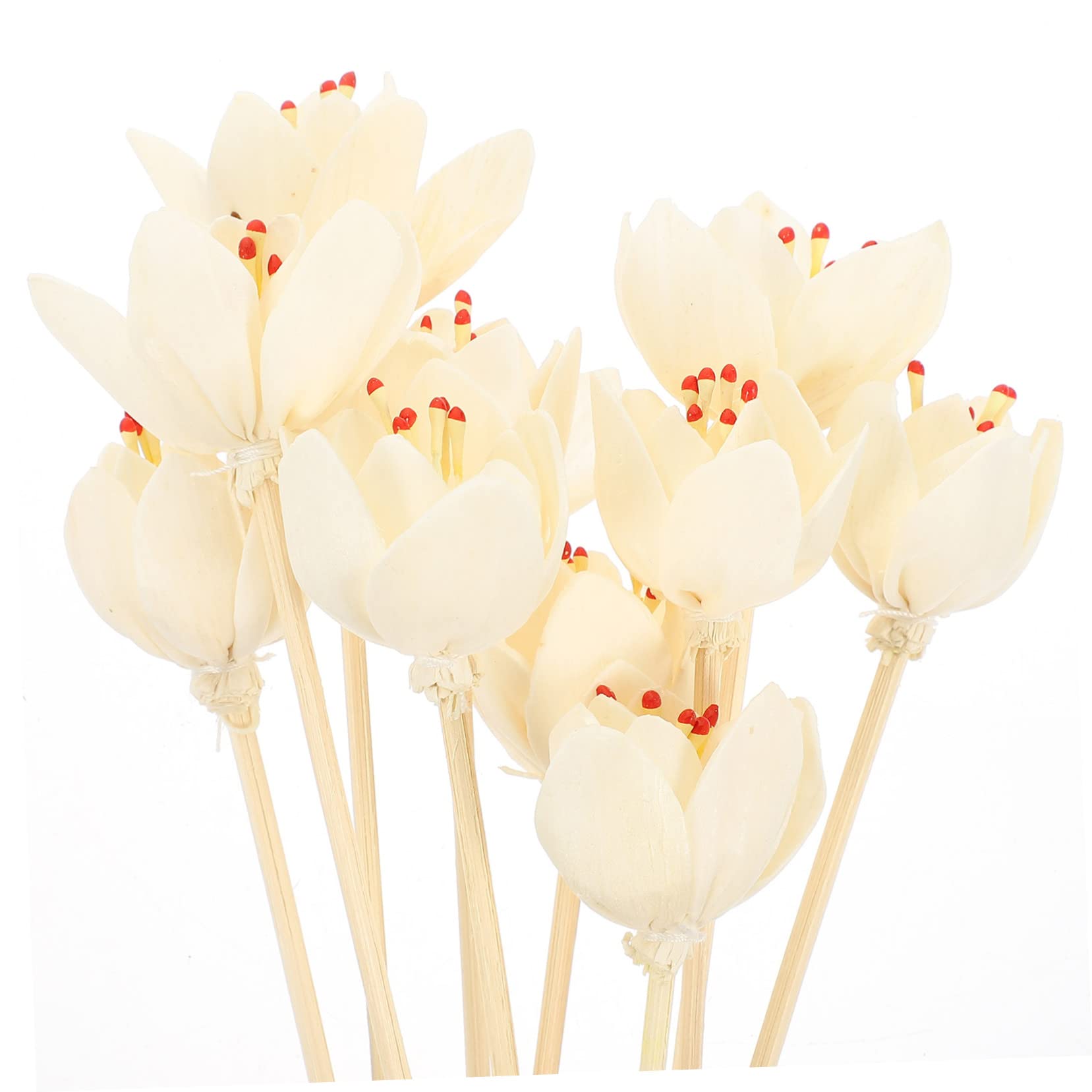 PRETYZOOM 50 Stück Aromatherapie-Rattan Diffusoren zum Selbermachen Blumendiffusor getrocknet Schilf künstlich wohnungseinrichtung wohnungsdeko beige Diffusorstäbe Diffusor-Werkzeuge hölzern