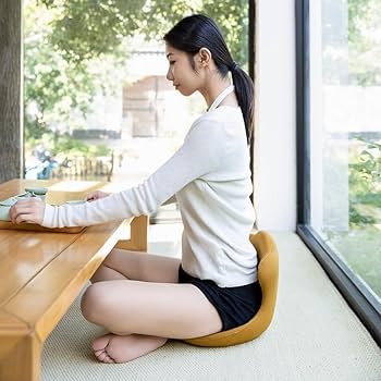 電磁パルス骨盤シートのみ 電磁パルス骨盤シートのみ