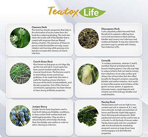 Kidney Cleanse Detox Tea with Parsley, Juniper Berries, Cleavers herb| Kidney Support Supplement for Urinary Tract and… - Image 4