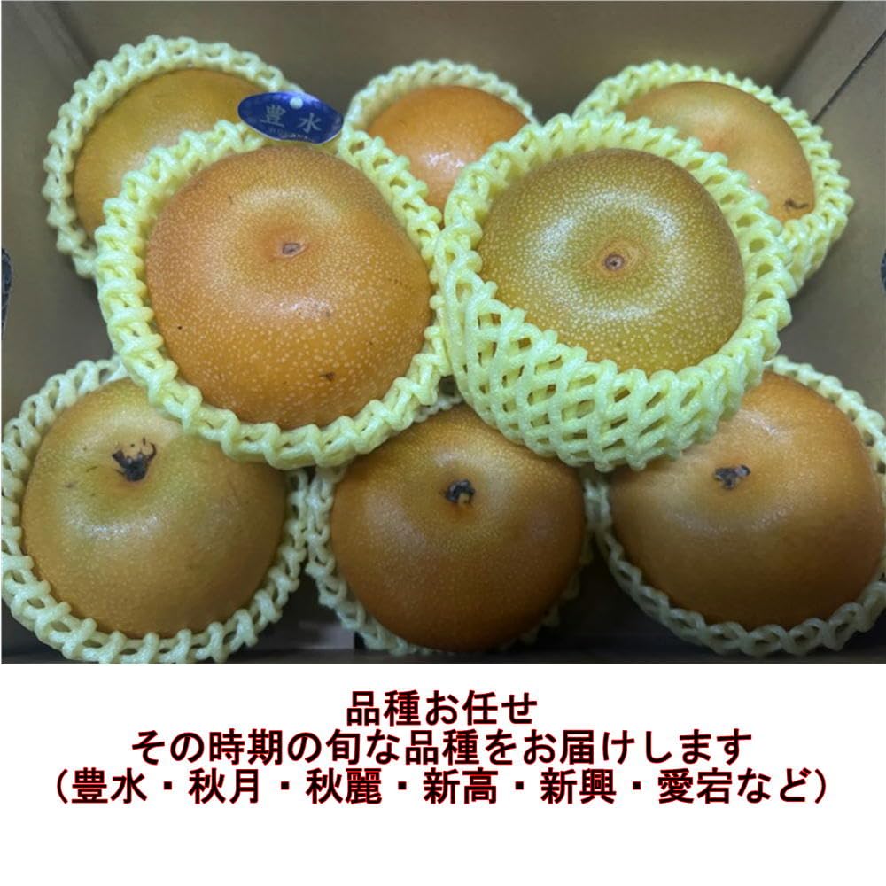 Amazon.co.jp: 梨 訳あり 約1.8kg（約2〜10玉）品種お任せ（豊水