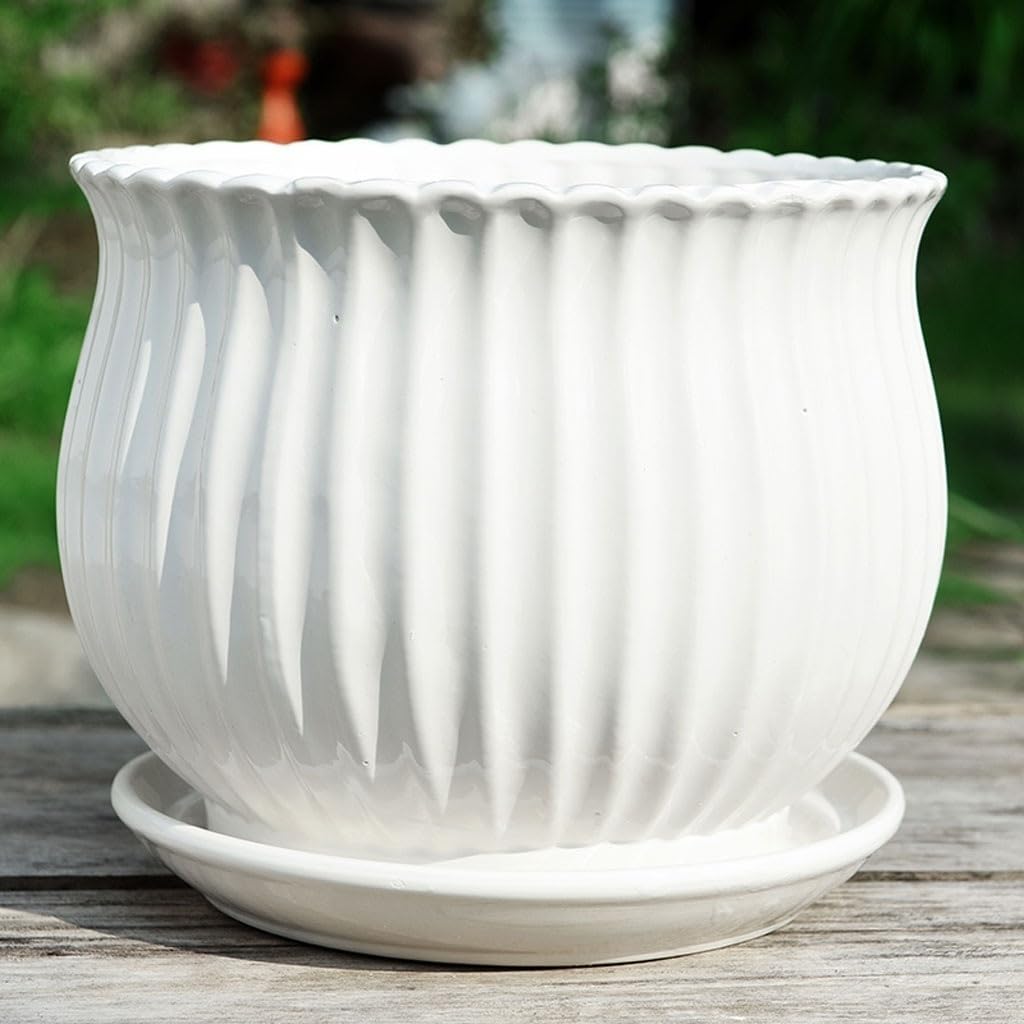 Doniczki ogrodowe na zewnątrz w pomieszczeniach Biała ceramiczna doniczka z tacą Stolik kawowy do biura Blat Dekoracyjna doniczka Chiński kwiat doniczkowy Pojemnik na roś