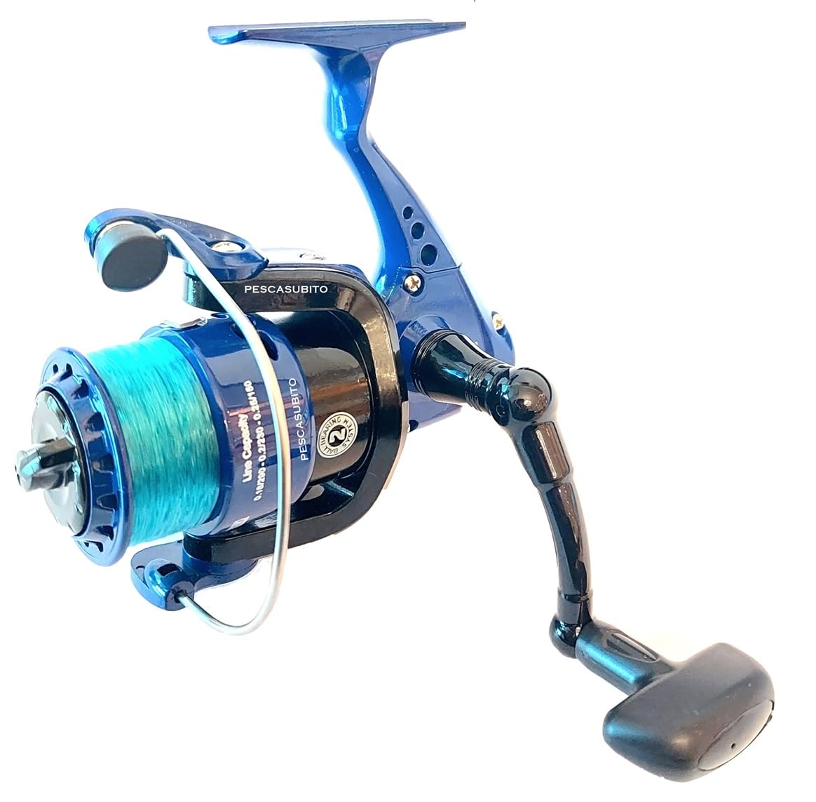 Combo Pesca Bolognese Canna Carbonio 6 Metri Mulinello e Filo Mare Lago Fiume