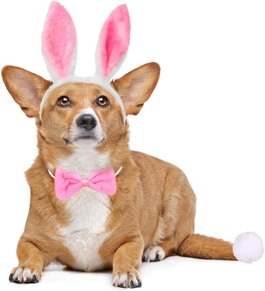 Disfraz de Conejo para Perro con Orejas y Corbata, Talla L