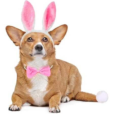 corgi ears headband