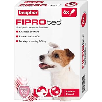 Beaphar Fiprotec Spot On Small Dog 6 Pipettes Amazon Co Uk Pet Supplies