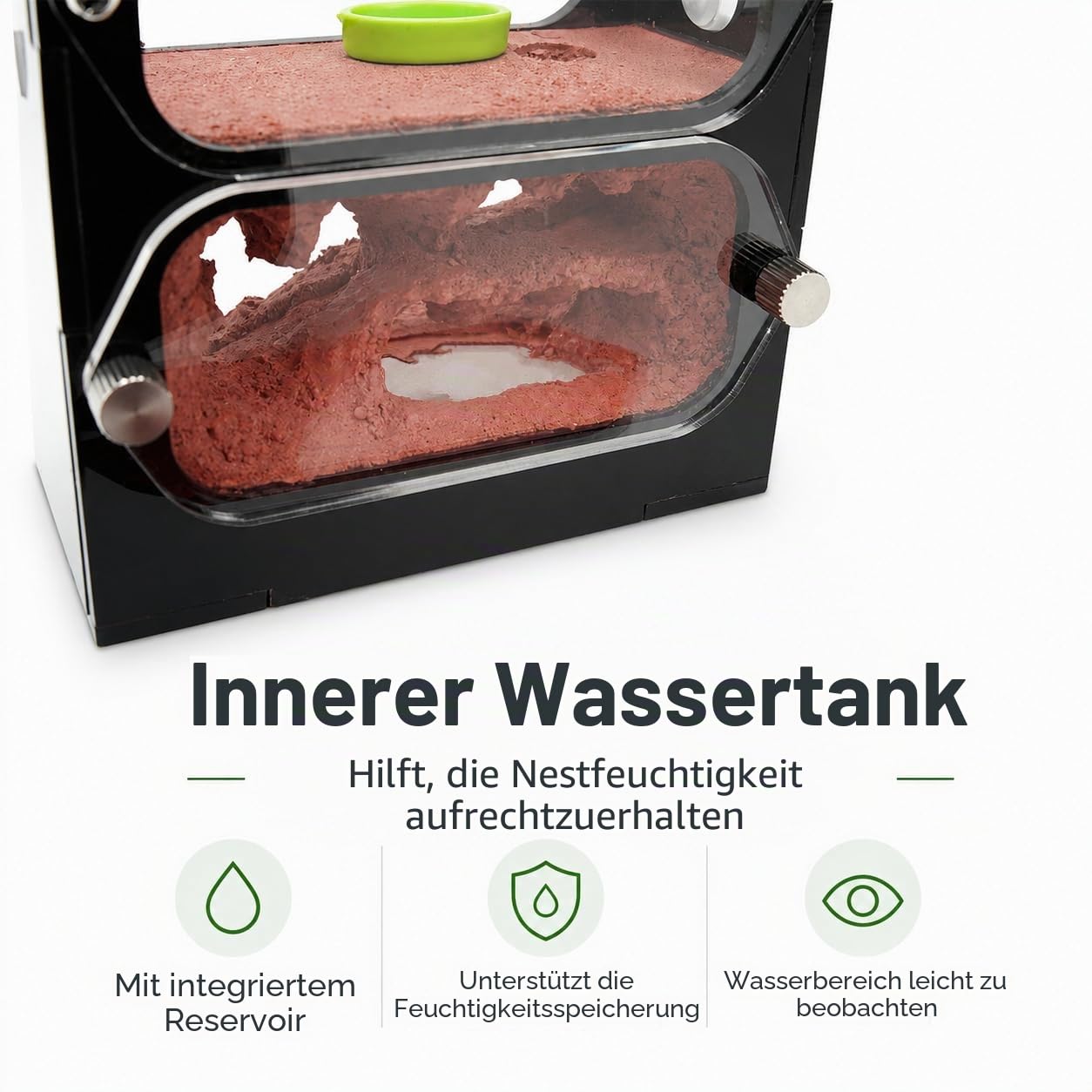 Ameisenfarm im Honigtopf mit Wassertank innen, Lebensraum aus Acryl für kleine Ameisenkolonien, 9,5 x 10,5 x 3,0 cm