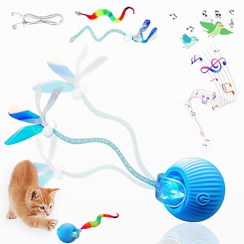 New Upgraded Cat Ball Toy - Speedy Tail 2.0 Cat
