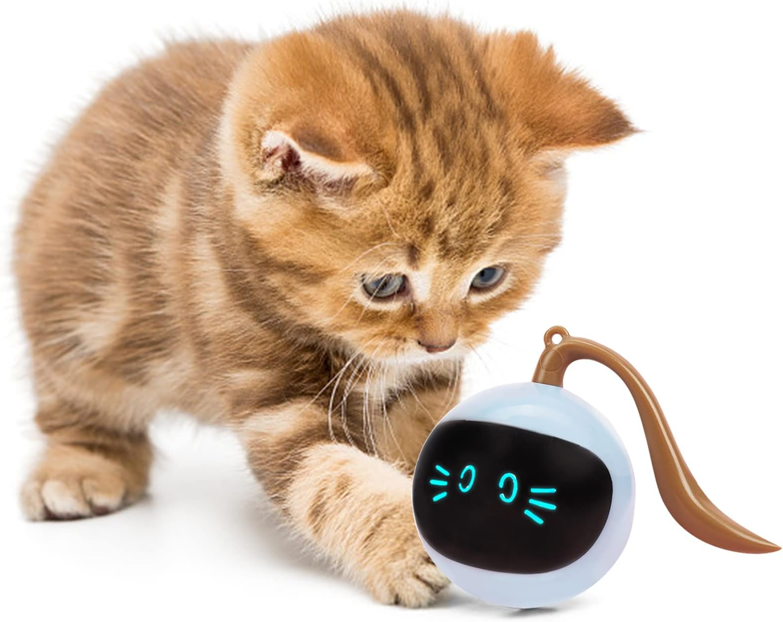 TZL Interactive Cat Ball Toy,Intelligent Obstacle Avoidance 360°-Rotating Cat Toy,Automatic Rolling Ball Toy for Indoor Cats,USB Rechargeable Hunting Exercise Cat Toys (Blue)