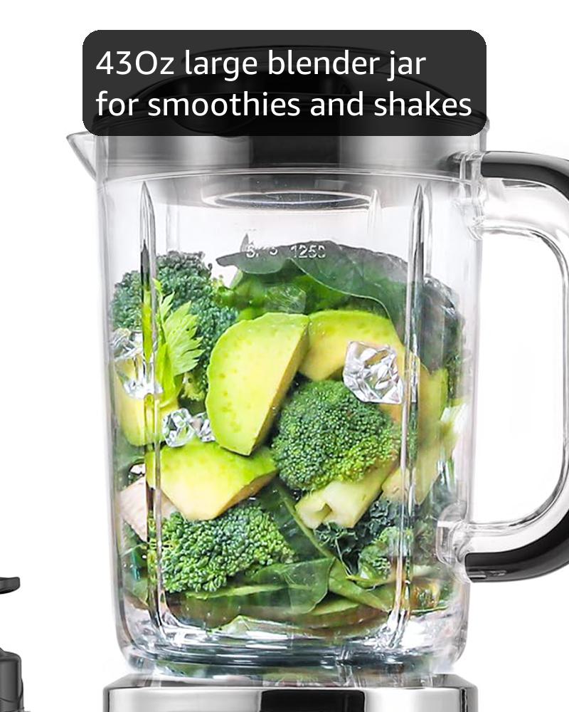 Amazon.com: Ganiza Smoothie Blender, 12-Piece Blenders For Shakes