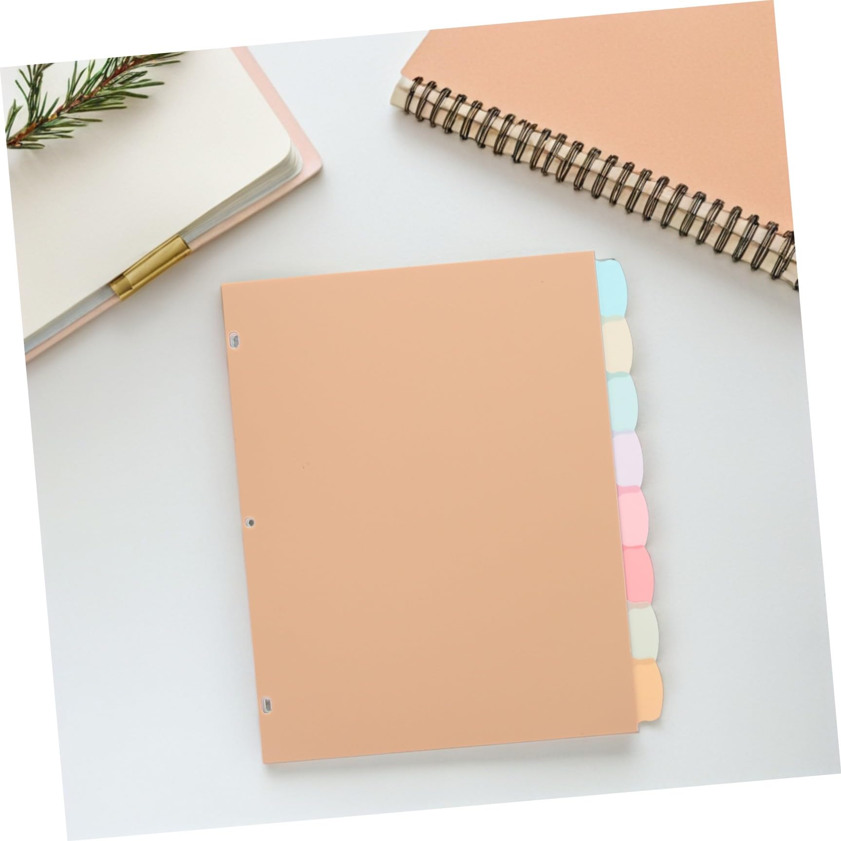 48 Pezzi Divisori Colorati per Quaderno ad Anelli Separatori per Design Resistente e Formato Standard per Ufficio e Scuola