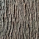 BOALORD Artificial Tree Bark - Natural Garden Mulch & Landscape Decor(19.69x39.37in/0.5 * 1m)