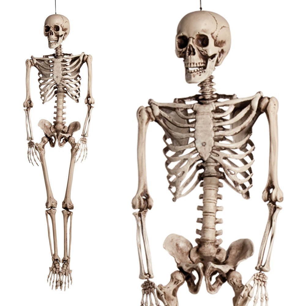 PARTY DISCOUNT Halloween Skelett Mit Karohemd – Gruselige Deko Figur Ca. 120 Cm Groß