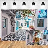 Leyiyi 10x6.5ft Photography Backdrop Greece Street Background Italian City View Greece Down Town Med