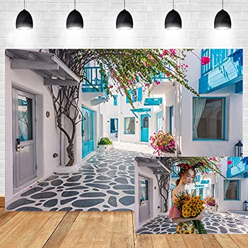 Leyiyi 10X6.5Ft Photography Backdrop Greece Street Background Italian City View Greece Down Town Mediterranean Style Architecture 3D Wedding Ceremony European Travel Photo Portrait Vinyl Studio Prop #TOP4