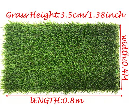 Kunstrasen Teppich für den Innen und Außenbereich, Florhöhe 35mm, Rasenteppic Teppich für Hunde, Garten und Fußmatte, gummierte Unterseite mit Drainagelöchern (0.4m x 0.8m) - Image 7