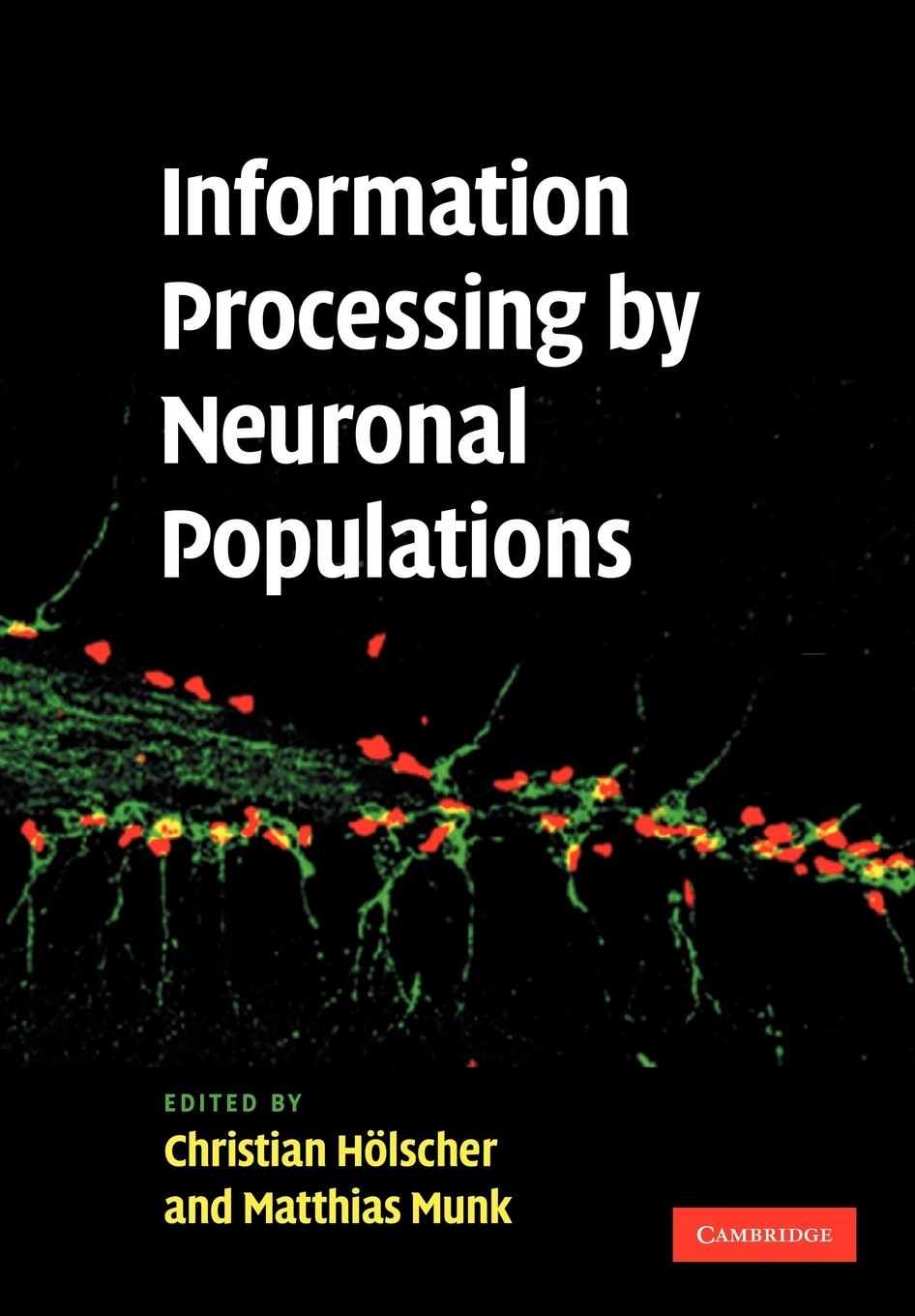 Information Processing by Neuronal Populations