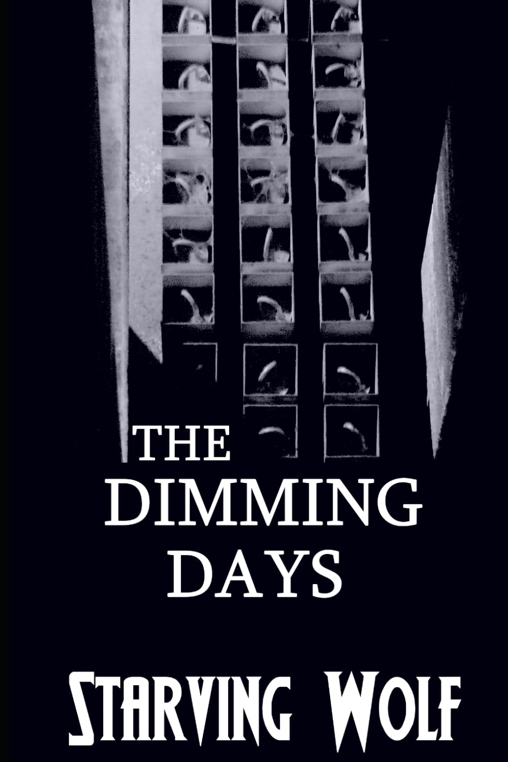 The Dimming Days