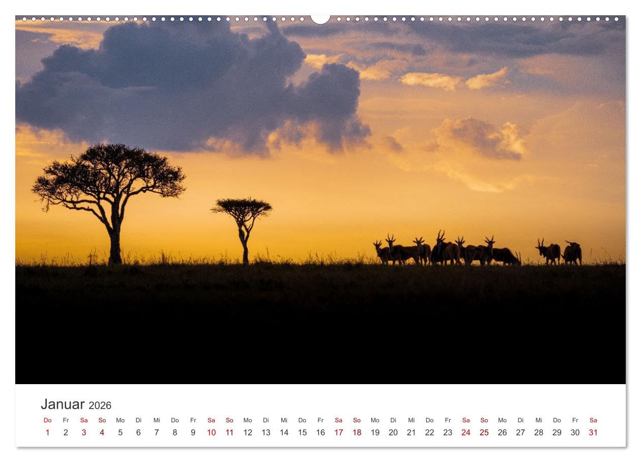 Kenia - Eine Safari durch unberührte Natur. (Wandkalender 2026 DIN A2 quer), CALVENDO Monatskalender: 12 hevorragende Aufnahmen aus Kenia. (CALVENDO Orte)
