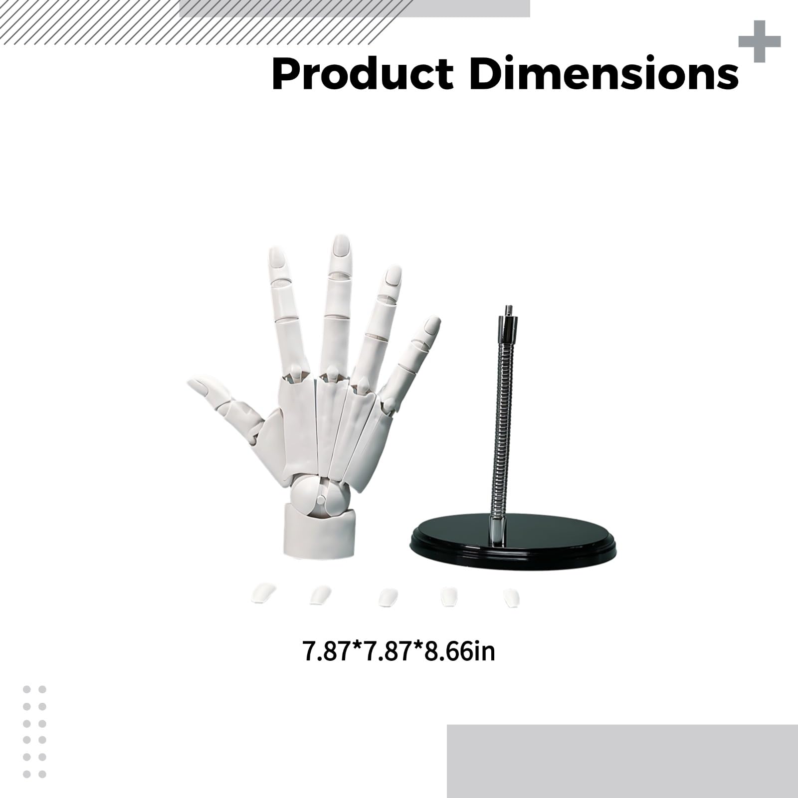 Main articulée de mannequin, modèle de main d’artiste 20 cm, échelle 1:1, main posable et flexible pour dessin, peinture et présentation, PVC blanc avec socle, référence anatomique