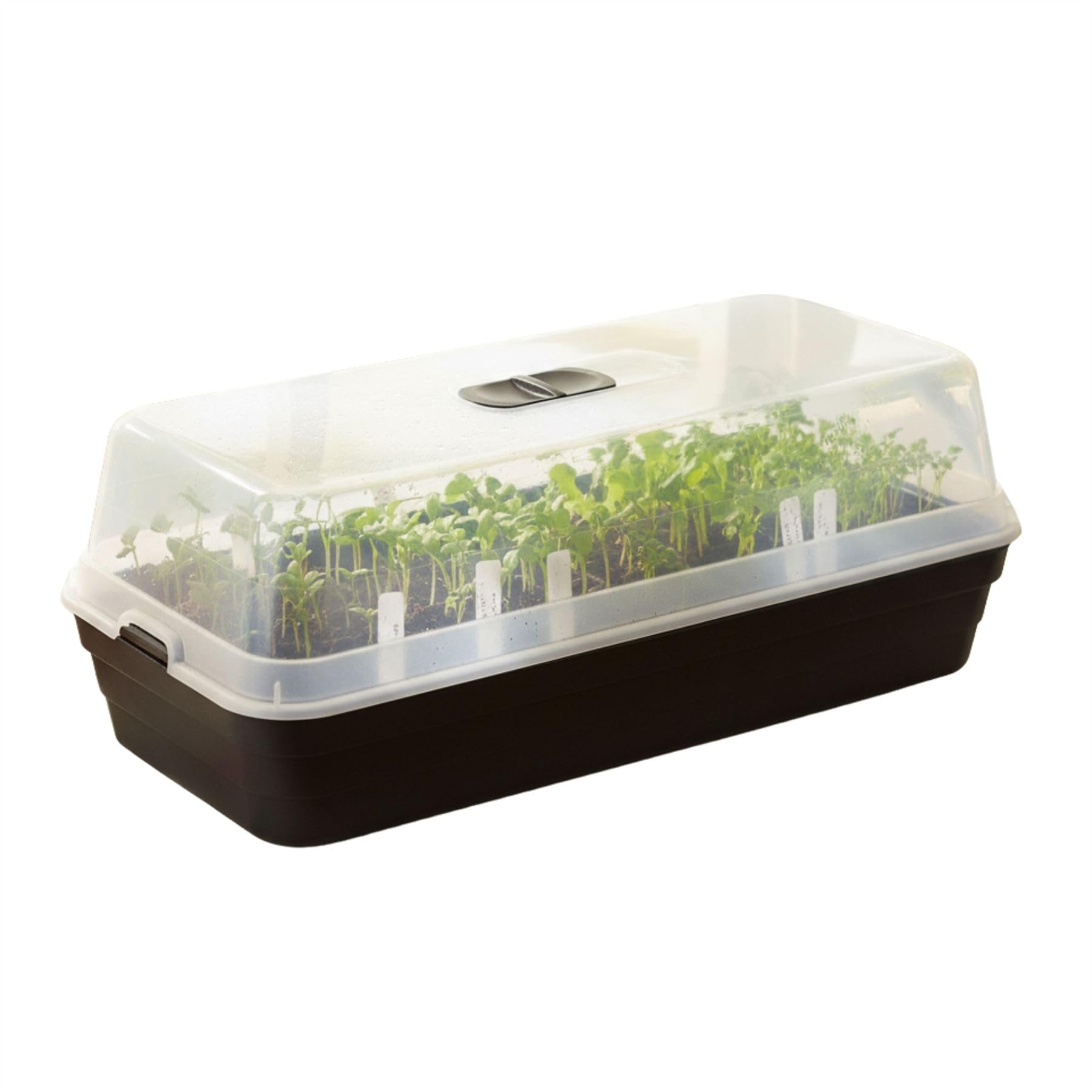 Carousel Home Black Seed Tray Propagator With Transparent Lid, 50X22cm Seed Starter Tray With Lid Mini Greenhouse For Seedlings, Herbs And Vegetables